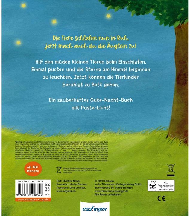 Produktbild Mein Puste-Licht-Buch: Wenn im Dunkeln Sterne funkeln (Deutsch, Christina Nömer, 2020)