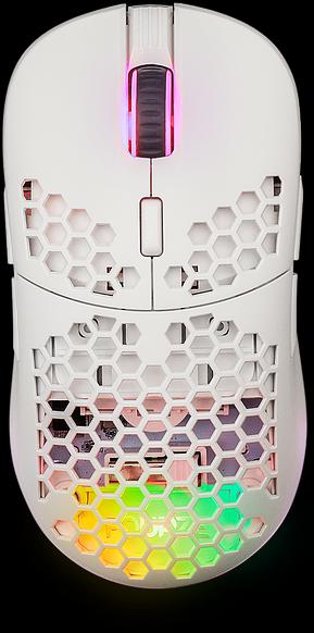 Produktbild Fourze GM900 Maus Beidhändig