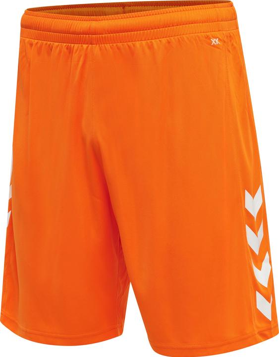Tigre orange