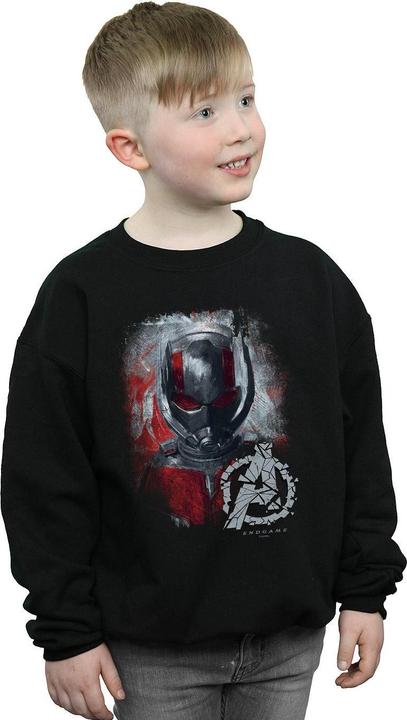 Actual product image Boys Avengers Endgame Ant-Man Brushed Sweatshirt (140, 146)