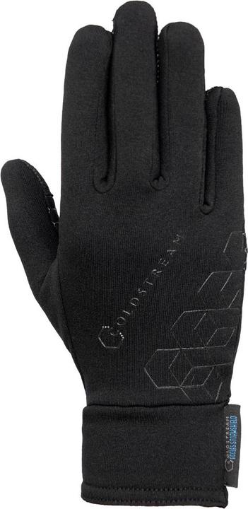 Produktbild Coldstream Winterhandschuhe Eccles Stormshield (XL)