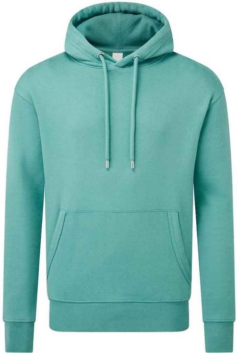 Anthem Kapuzenpullover aus biologischem Anbau