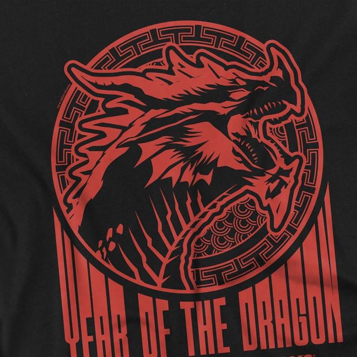 Actual product image Dungeons & Dragons Mens Year Of The Dragon Street T-Shirt (3XL)