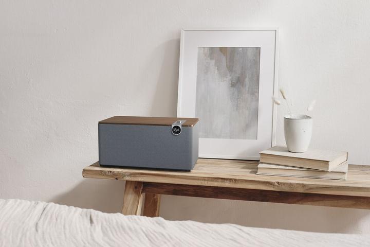 Actual product image Klipsch The Three Plus (Electrical connection)