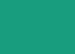 Immagine prodotto Clairefontaine Trophée (80 g/m², 500 x, A4)