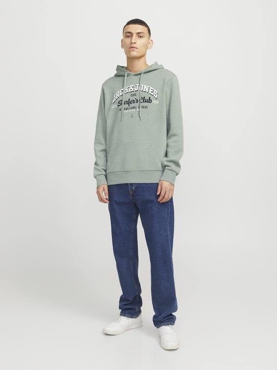 Produktbild Jack & Jones JJELOGO SWEAT HOOD 2 COL 24/25 NOOS (S)