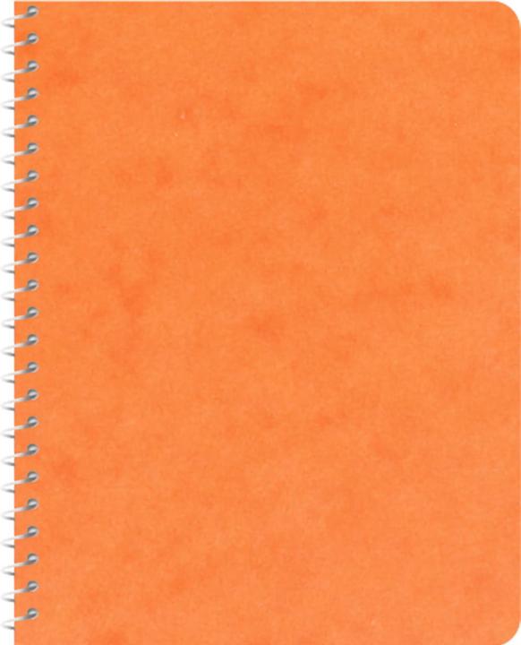 Produktbild Novooo Spiralheft assortiert (91 x 121 mm, Kariert)