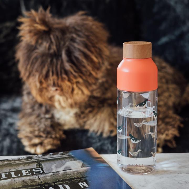 Actual product image Quokka Ice 720 ml - Drinking Bottle (0.57 l)