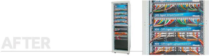Produktbild Wirewin Netzwerkkabel (U/UTP, CAT6, 3 m)