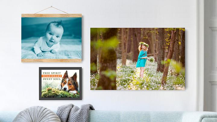 Adobe Photoshop & Premiere Elements 2021 (1 User, unbegrenzt)