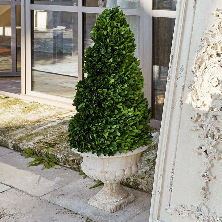 Actual product image Loberon Decorative tree Humbria green / cream (75 cm)