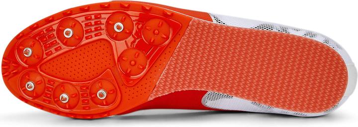 Produktbild Puma evoSPEED Star 8 (44)