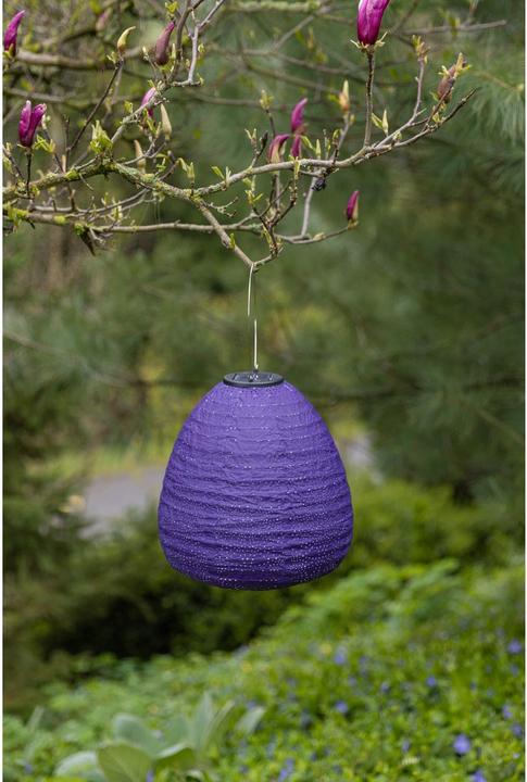 Produktbild Cocon Lampion LED Solar Kuppel, Violett (0.42 m)