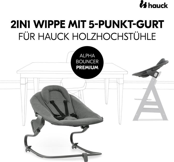 Actual product image Hauck Alpha Bouncer