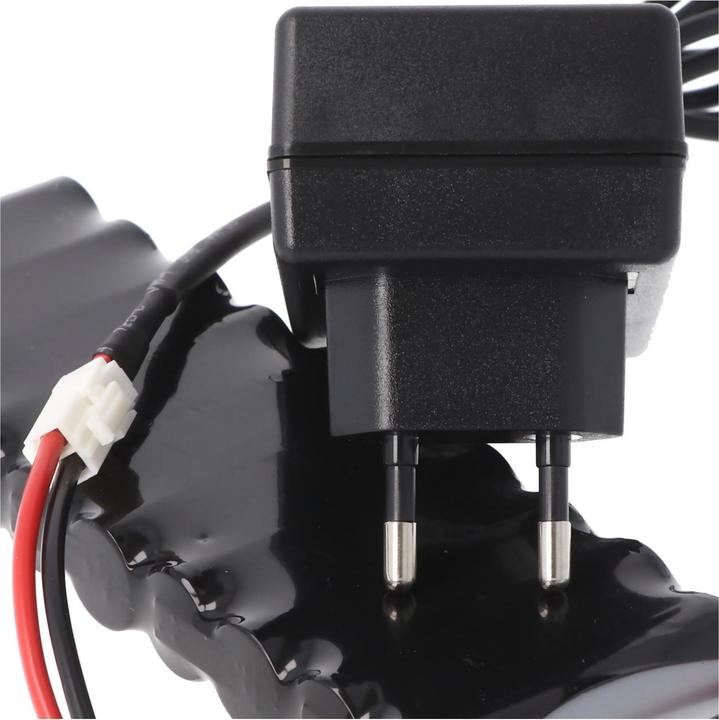 Immagine prodotto AccuCell Caricatore per batteria Roto ZEL 12 Volt RT2 SF G2