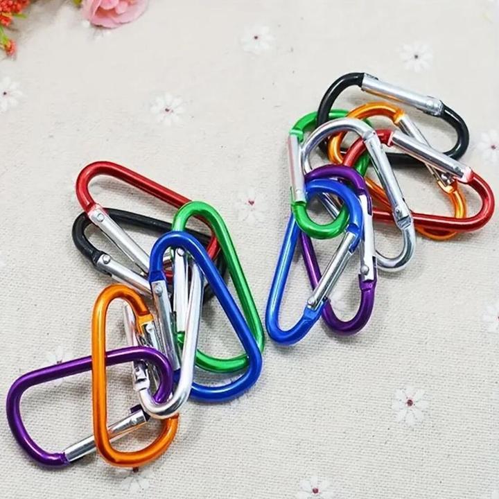 Champ Karabiner-Schlüsselanhänger