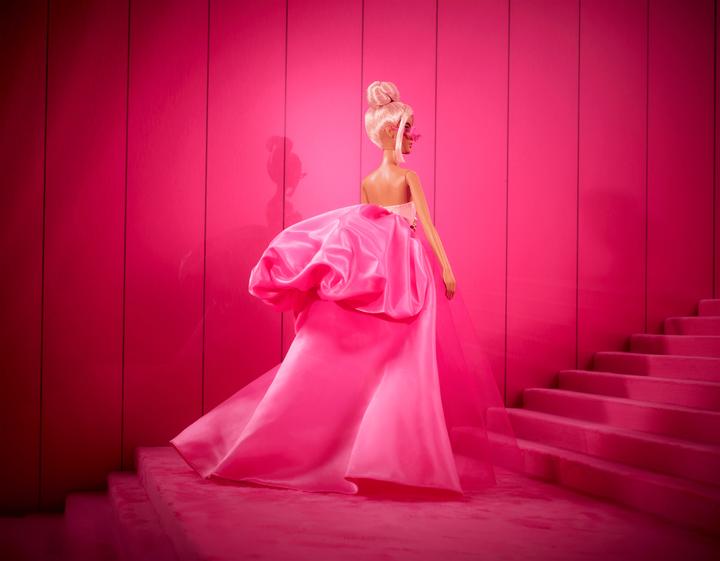 Actual product image Barbie HJW86 Pink Collection