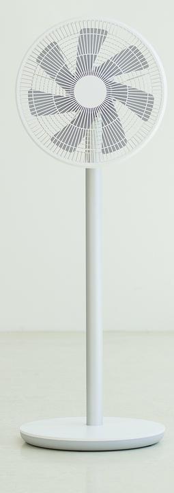 Actual product image Xiaomi SmartMi 2 (29 dB)