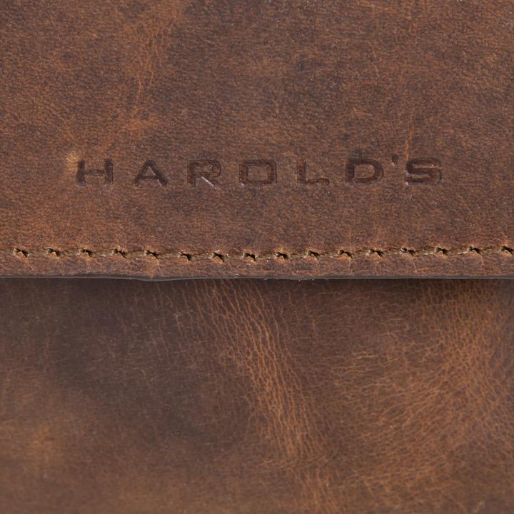 Produktbild Harolds Umhängetasche Antic 4178 Umhängetasche L