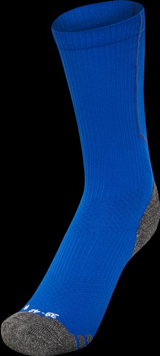 Actual product image hummel football socks pro low (47 - 50)
