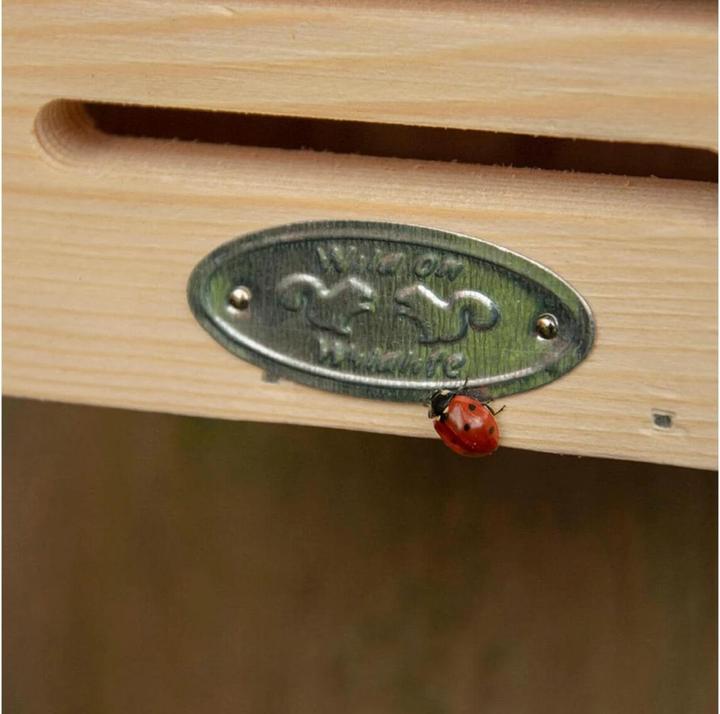 Actual product image Esschert Design Ladybird house (Ladybirds)