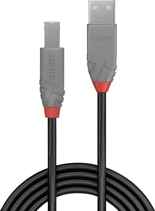 Image du produit Lindy USB/A-USB/B M-M (2 m, USB 2.0)