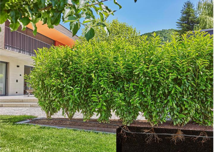 Produktbild Gardena Ober- und unterirdisches Tropfrohr (25 m) (Tropfschlauch + Tropfrohr)
