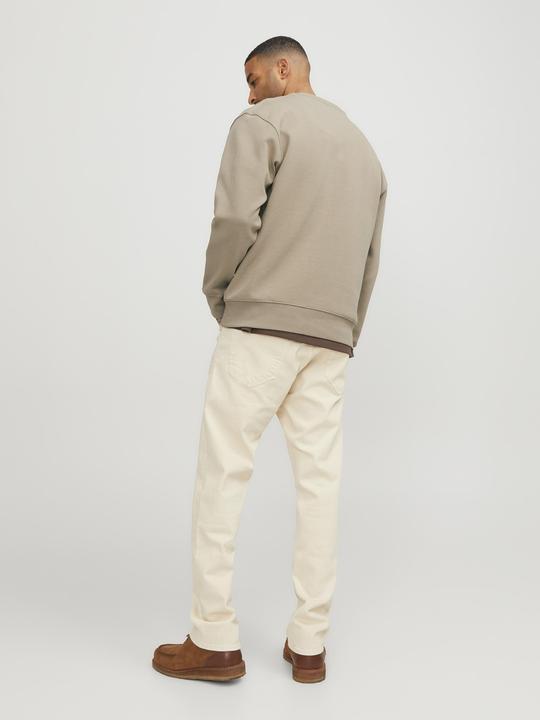Produktbild Jack & Jones RDD Dean Sweatshirt (S)