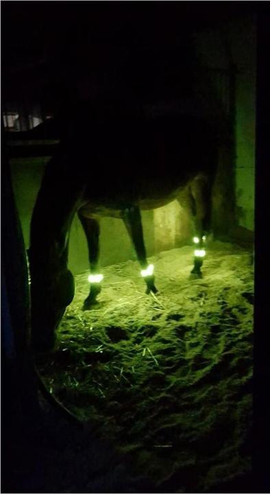 Produktbild Animal Light LED Leuchtgamaschen Threeple 4er-Set