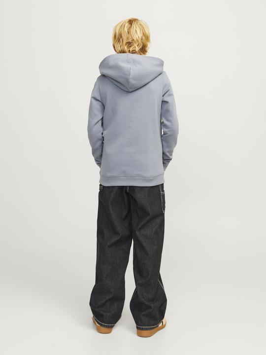 Immagine prodotto Jack & Jones Jjialex Jjcarpenter Mf 056 Sn Jnr (140)