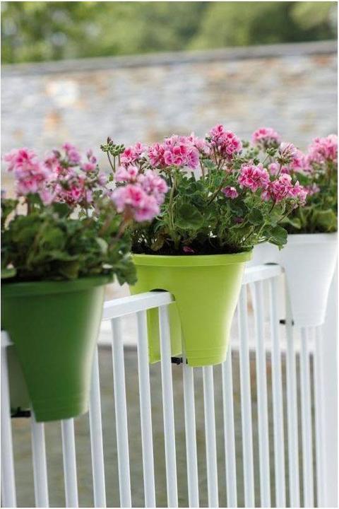 Actual product image Elho corsica (29 cm)