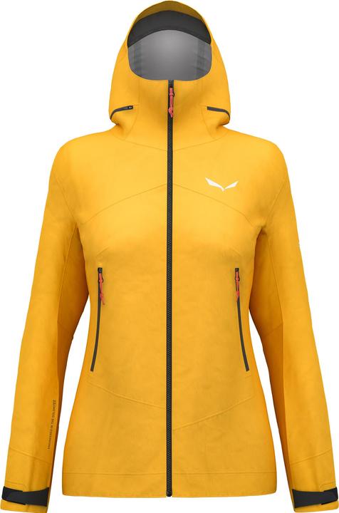 Immagine prodotto Salewa GIACCA ORTLES GTX 3L Donna (40, L)