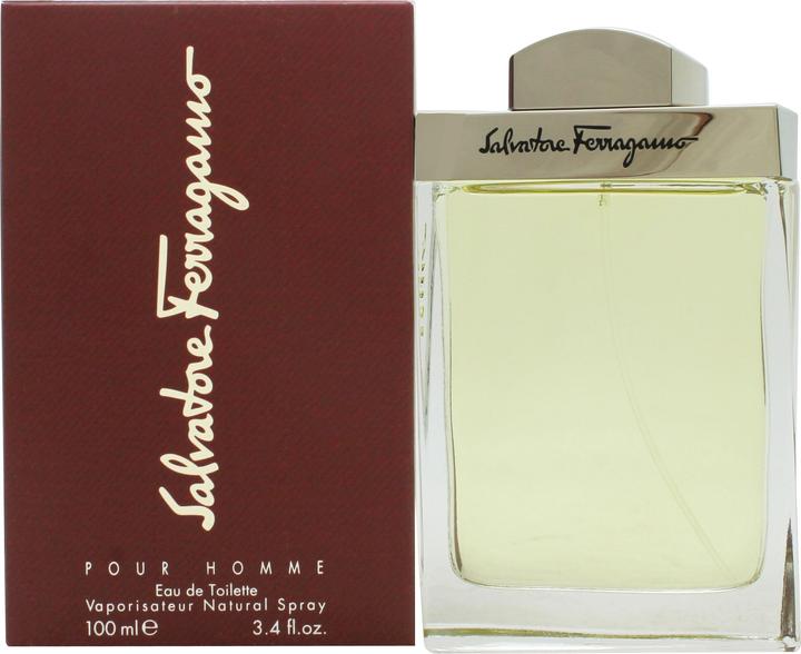 Salvatore Ferragamo F (Eau de Toilette, 100 ml)