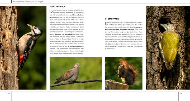 Actual product image Einführung in die Naturfotografie (German, Iago Corazza, Massimiliano Biasioli, 2022)