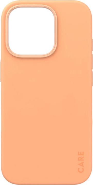 Actual product image Care Case Fashion&MagSafe (Apple iPhone 16 Pro)