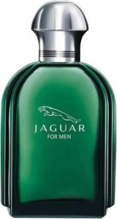 Jaguar For Men (Eau de toilette, 100 ml)