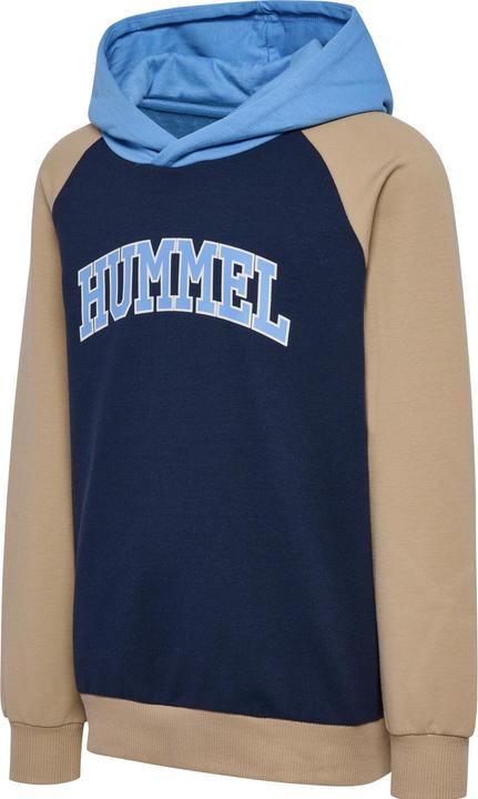 Actual product image hummel hmlESSEN HOODIE (122)