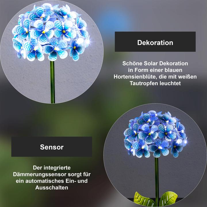 Actual product image Star Trading Hortensia (IP44)