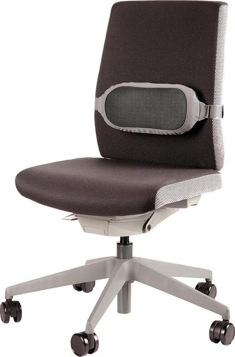 Produktbild Fellowes Lendenkissen (35 x 6 x 16 cm)