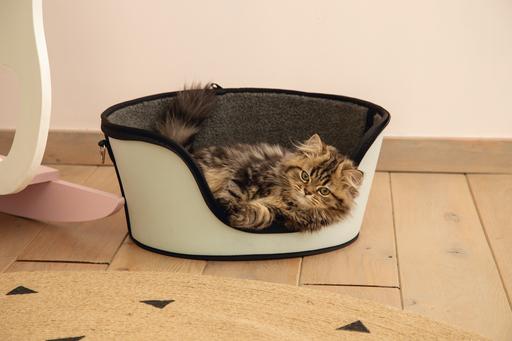 Immagine prodotto Beeztees Gattino (Gatto, Chiusura di sicurezza)