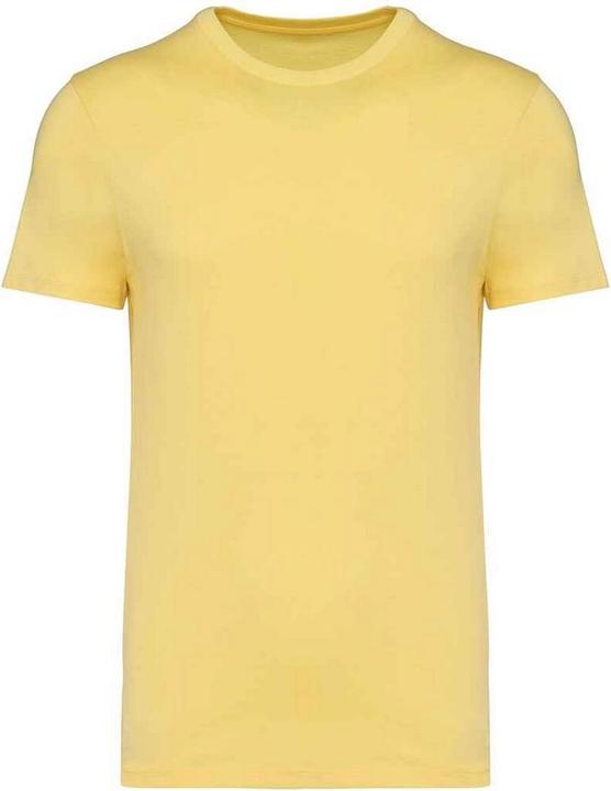Native Spirit Unisex Adult Heavyweight Slim T-Shirt (4XL)