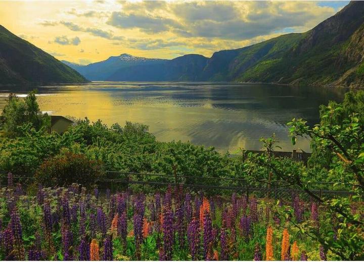 Immagine prodotto Ravensburger Fiordo in Norvegia (1000 pezzi)