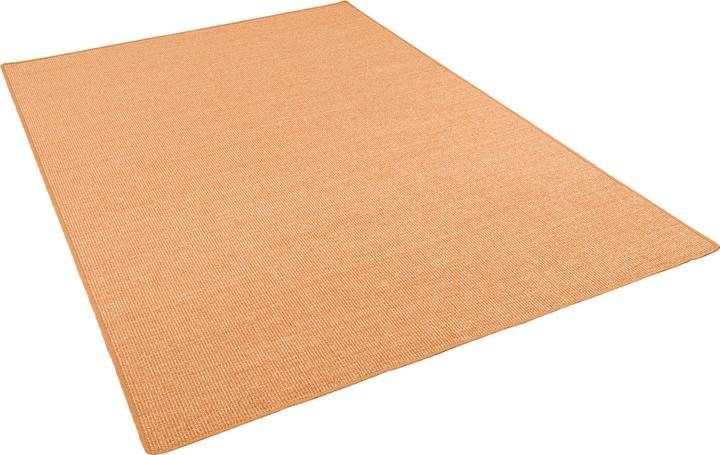 Image du produit Snapstyle Tapis sisal naturel Classique - 9 coloris en 17 tailles (100 x 400 cm)