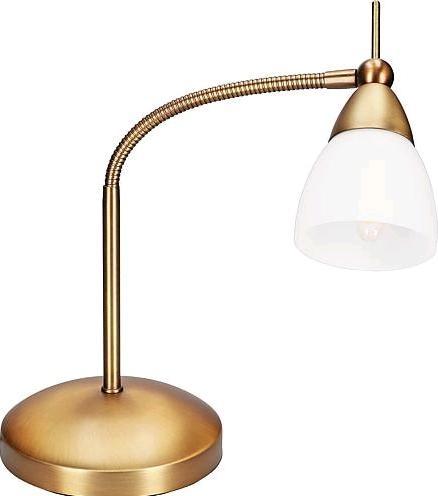 Actual product image Paul Neuhaus antique brass LED table lamp 3000K 3W (265 lm, G9)