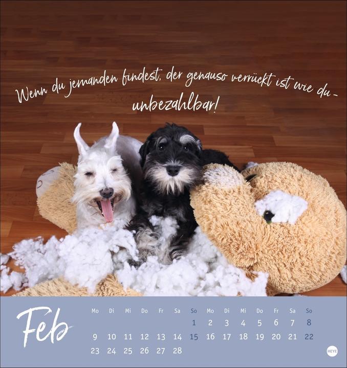 Image du produit Ziemlich beste Freunde Postkartenkalender 2026 - Für immer dein (Couverture rigide, Allemand)