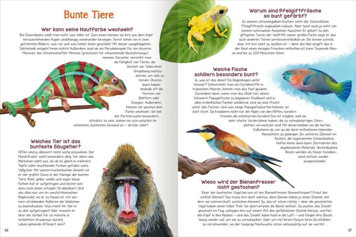 Produktbild Was willst du wissen? Das grosse Fragen- und Antwortenbuch – Tiere (Deutsch, Kristine Ortmeier, Angelika Huber-Janisch, 2023)