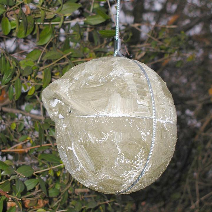 Produktbild Siena Garden Nistkugel Zaunkönig 1ZA