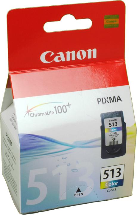 Actual product image Canon Cl-513 (Color)