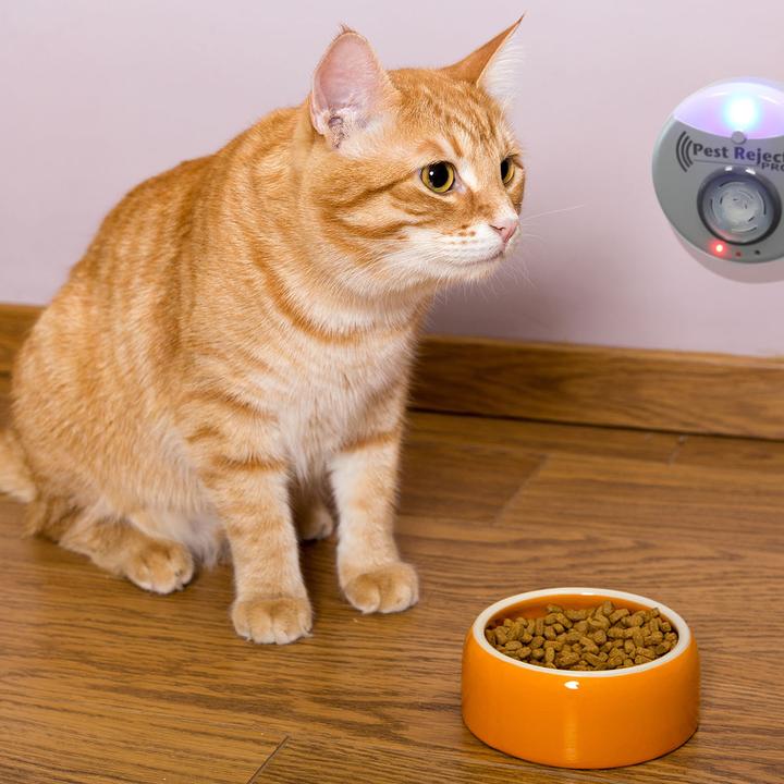 Actual product image Best direct Pest Reject Pro