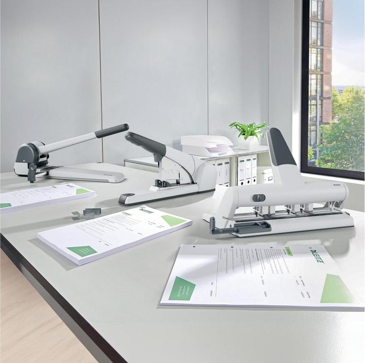 Produktbild Leitz Mehrfachlocher Akto